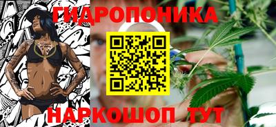 a pvp Будённовск