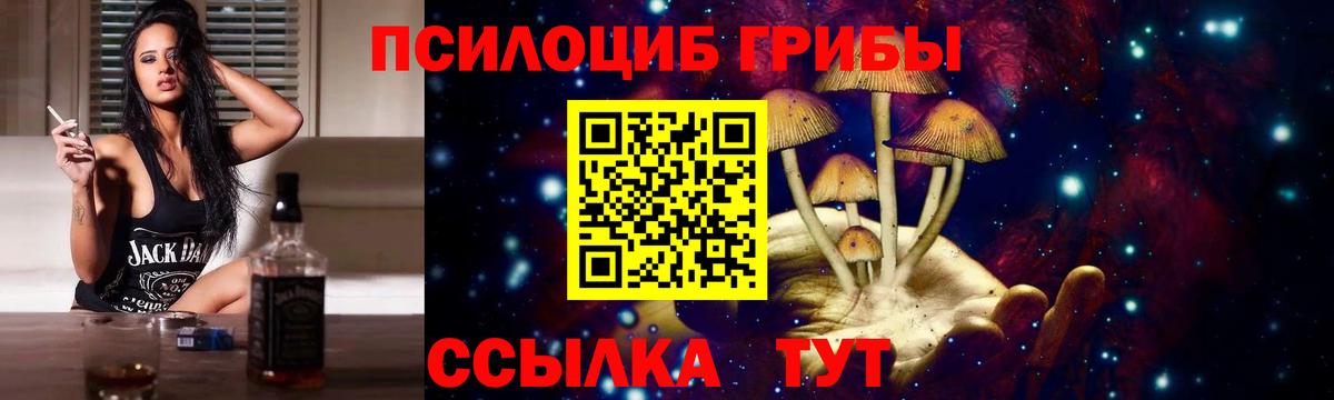 Галлюциногенные грибы Psilocybine cubensis  Вход с VPN  Ревда  Псилоцибиновые грибы Cubensis 